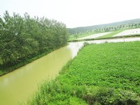 企業(yè)環(huán)境